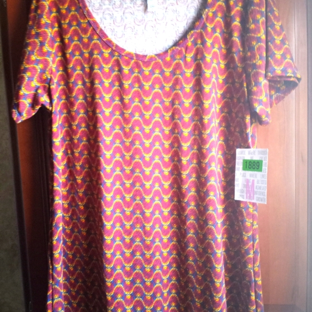 Lularoe Medium Classic T #1889